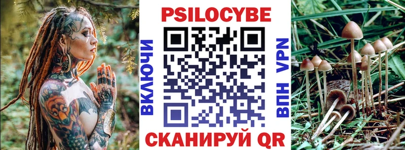 Купить где  Можайск  Галлюциногенные грибы Cubensis 